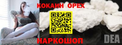 крисы Новокубанск