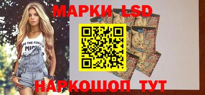 амф Новодвинск