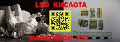 амф Новодвинск
