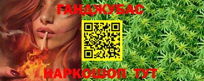 крисы Новокубанск