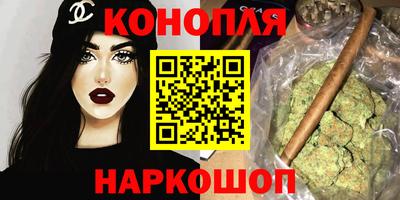 крисы Новокубанск