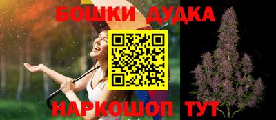 амф Новодвинск