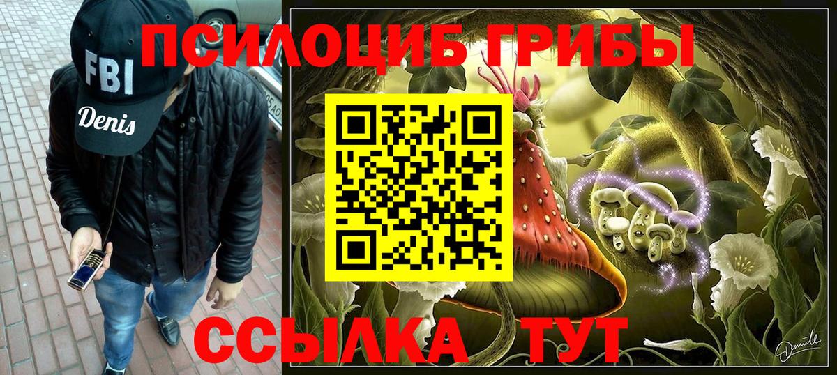Галлюциногенные грибы Cubensis Сунжа