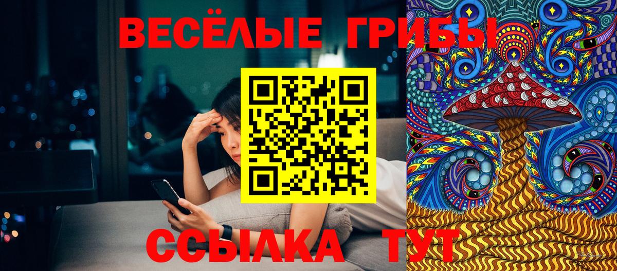 Сунжа  Псилоцибиновые грибы мухоморы  Галлюциногенные грибы ЛСД  Вход с VPN 